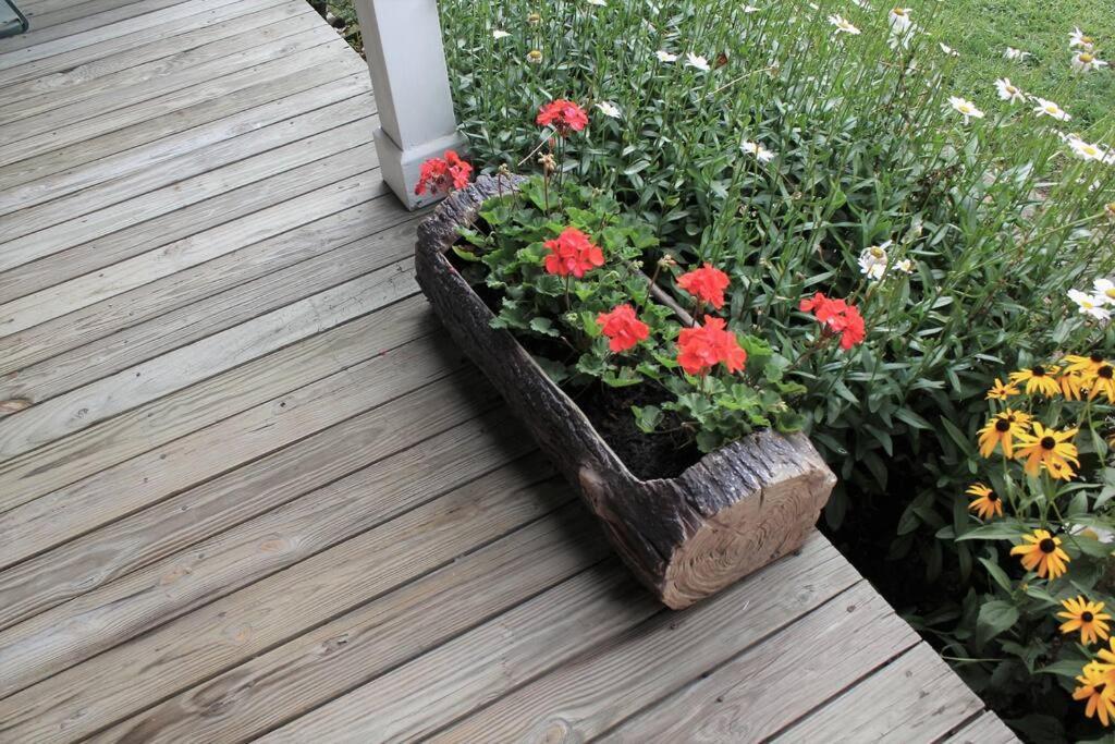 Upstairs Historic 1 Bedroom 1 Bath With Mini-kitchen, Porch & River Views Elkins